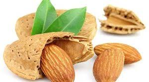 خرید اینترنتی روغن بادام مرغوب