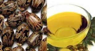 فروش اینترنتی روغن کرچک ایرانی