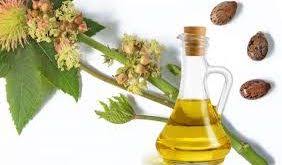 تولید کننده روغن کرچک برای یبوست